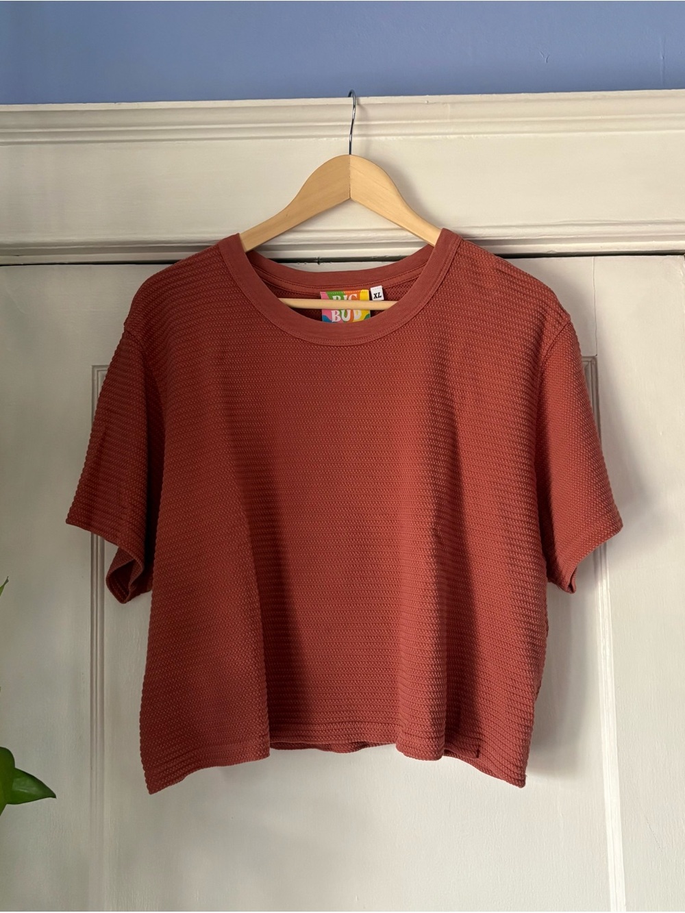 Big Bud Press Cropped Honeycomb Tee - Clay Red